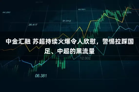 中金汇融 苏超持续火爆令人欣慰，警惕拉踩国足、中超的黑流量