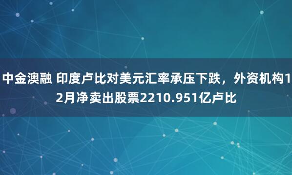中金澳融 印度卢比对美元汇率承压下跌，外资机构12月净卖出股票2210.951亿卢比